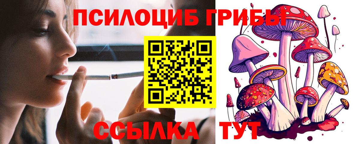 Псилоцибиновые грибы GOLDEN TEACHER  Вход с VPN  Еманжелинск 